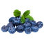 Blueberries