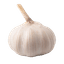 Garlic Bulb