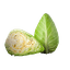 Hispi (sweetheart) Cabbage