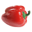 Red Pepper
